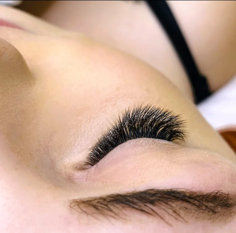 Brown Volume 12 14 - volume